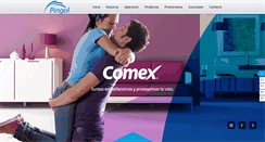Desktop Screenshot of pingol.com.mx